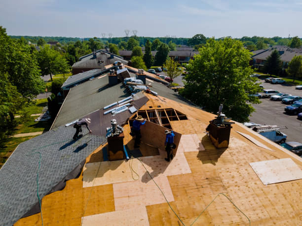 Trusted Flat Roof Repair service in Stoneham, CO - Brentwood Metal Roofing